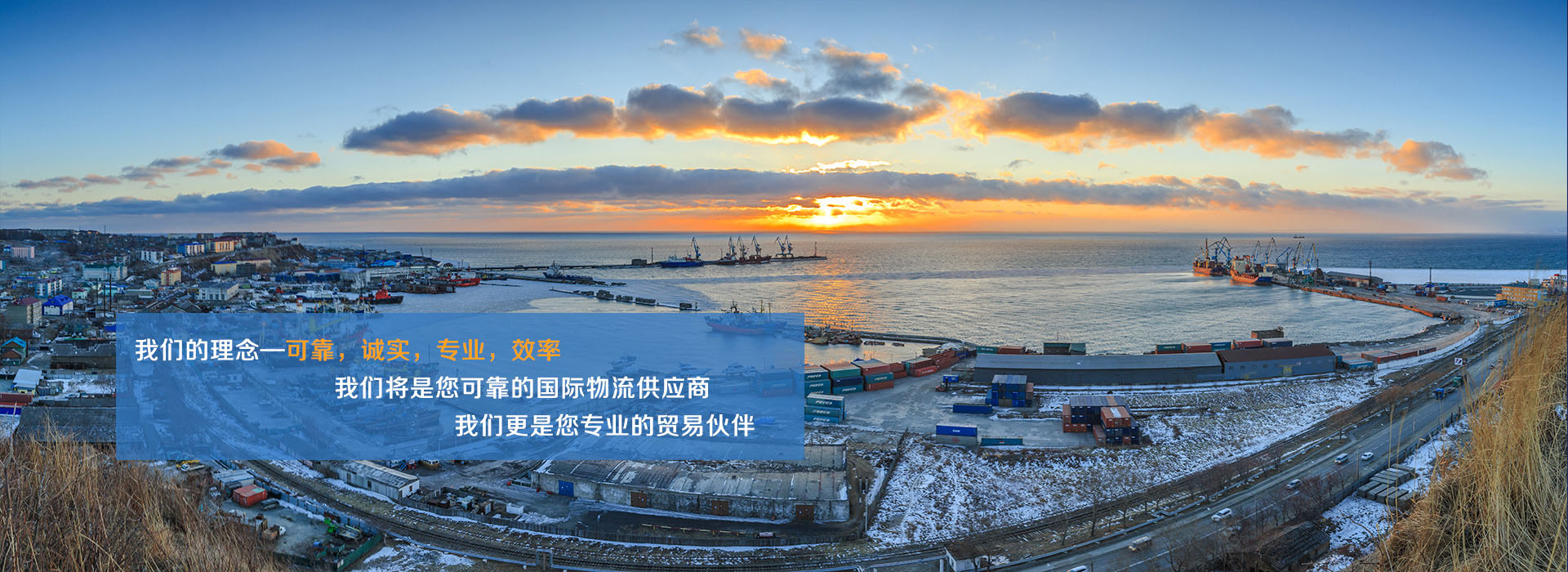 租賃寫字樓辦公室植物的價值